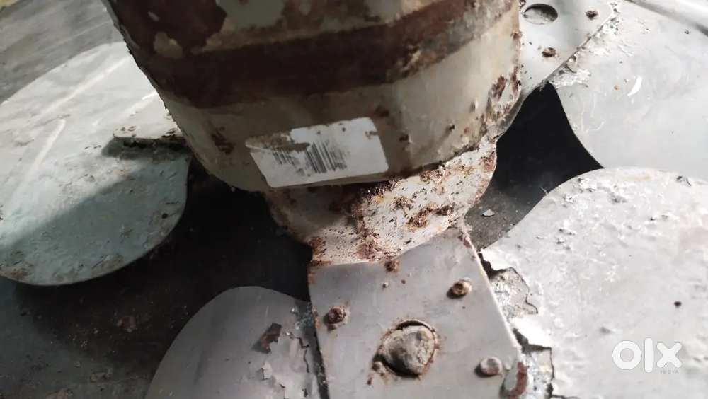 Cooler motor