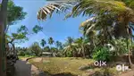 35cent land for sale near YMRC Kozhikode