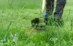 Grass cutting
