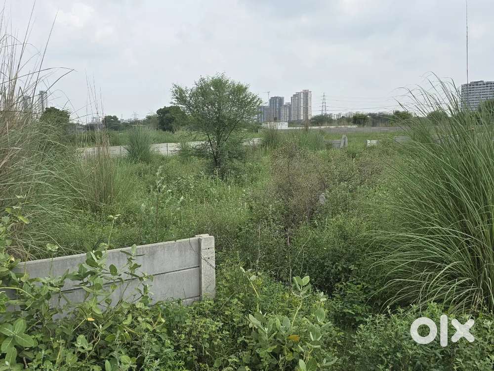 Deen Dyal Plot for Sale in Gurgaon NEAR AIIMS HOSPITAL