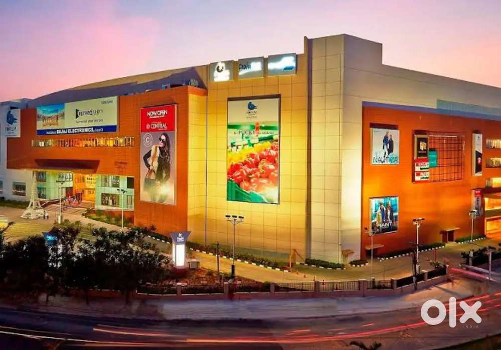 Job Opportunity – Helpers Needed for 3D Hand Casting in Big  Ma