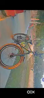 Cycle double disc brake