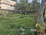 8 cent Land Sankarayya Road  Thrissur