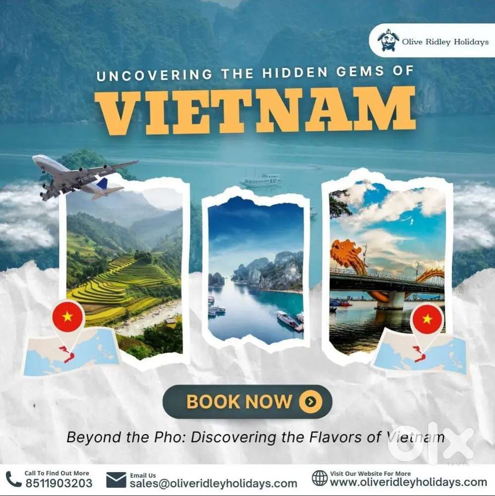 Travel Sales Executive