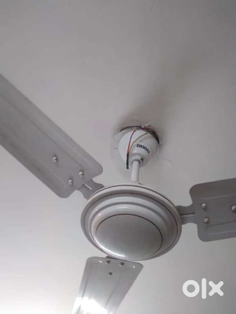 Best fan In New condition 3 month old