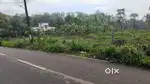 Plot for sale