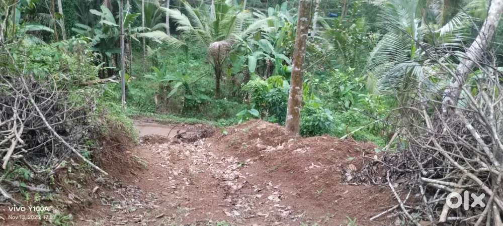 Sthalam ambalathinkala 15 sent sthalam vilkkan und cont. Me fast rs.