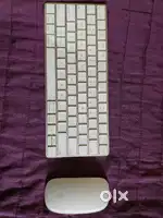 Apple Magic Keyboard and Mouse