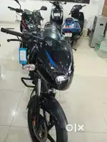 Pulsar 2024 model neat condition