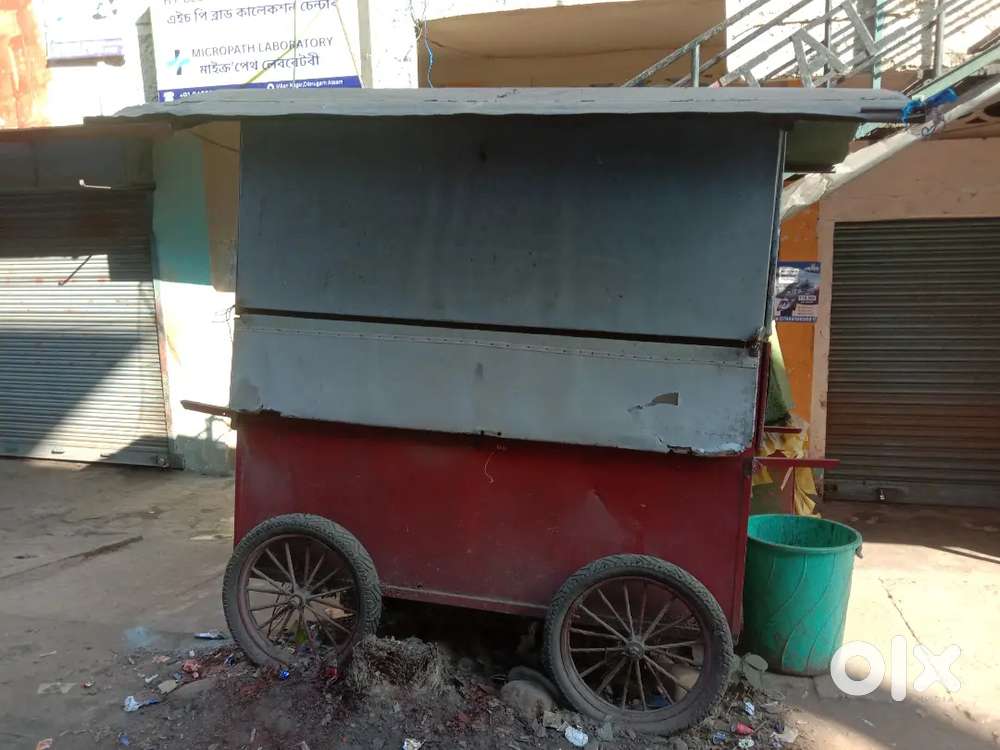 FAST FOOD THELA (FOOD CART)