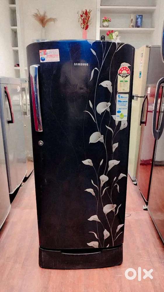 Samsung 192 L 5 Star Direct Cool Refrigerator