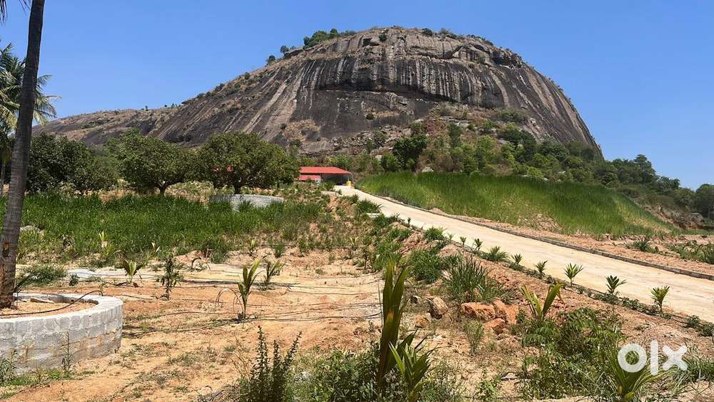10 acres developed land for sale