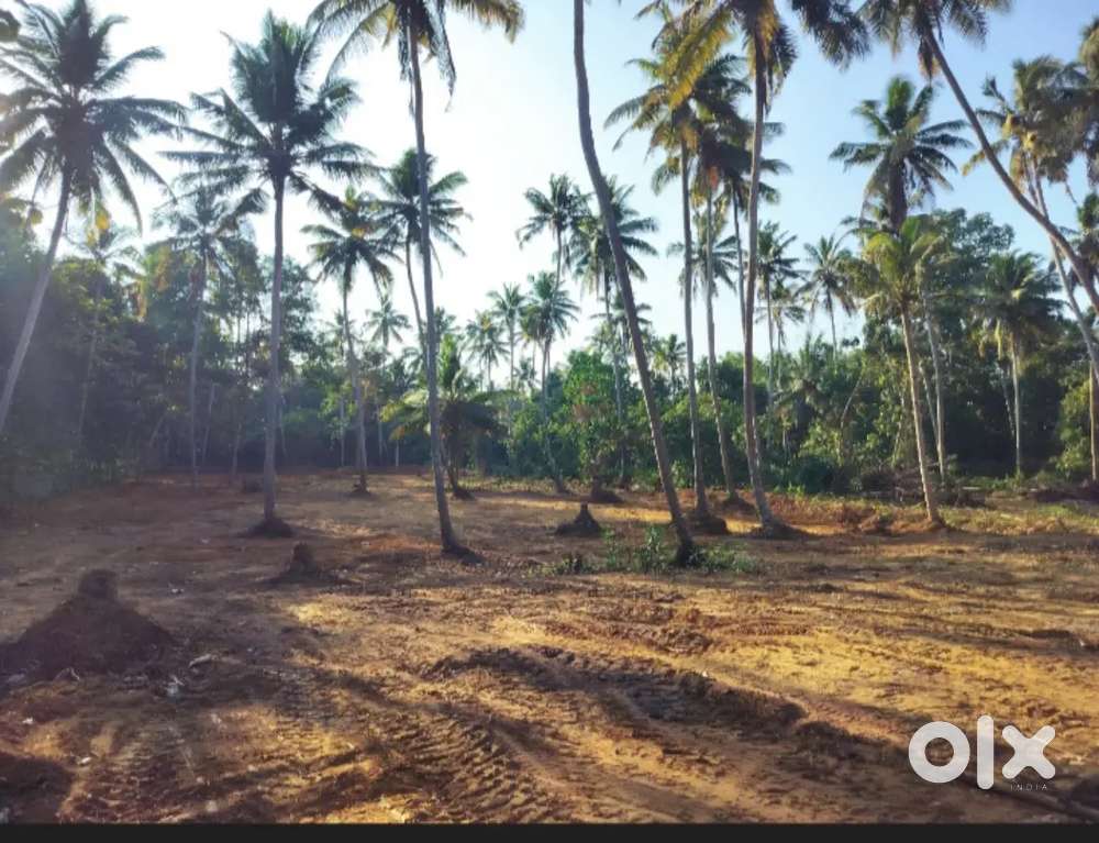 Plot for sale at Manacaud, Thiruvananthapuram with tar road frontage