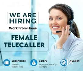 Female Telecaller Online work From Home opportunity