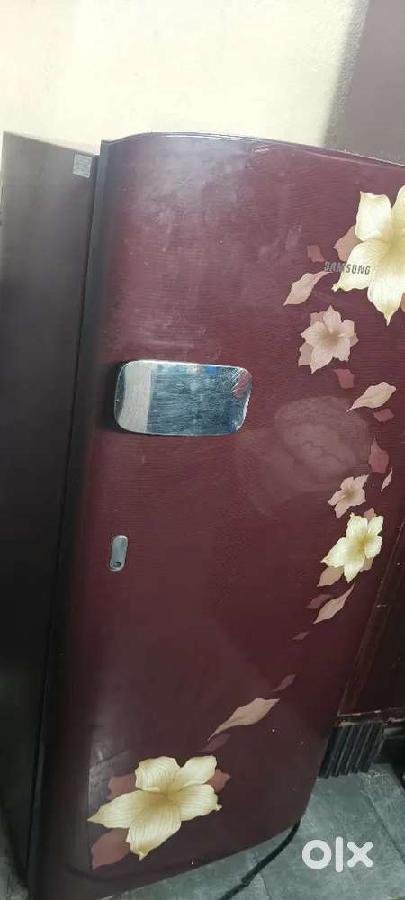 Brand Lg Refrigerator comes with unique design