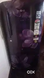 Samsung smart Inverter Fridge
