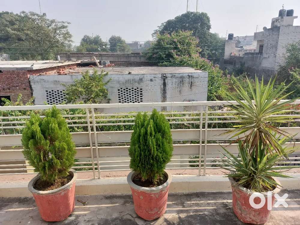 Independent first floor for strictly vegetarian family