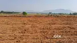 Agriculture land for sale, 5.09 acre 1.10 acr karabu total 6.19 acre