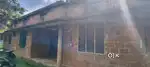 House for rent in cheap rate