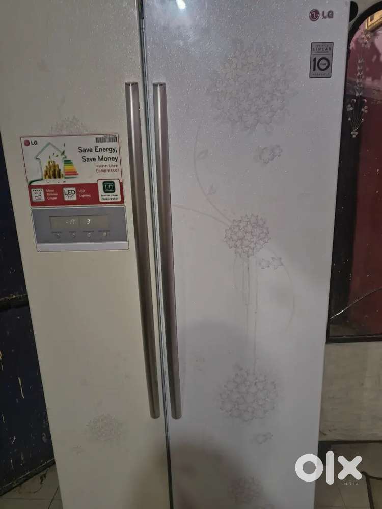 Lg fridge dor by dor