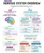 Psychology Tuitions Class 11 & 12