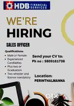 SENIOR SALES OFFICER HDB FINANCIAL SERVICES
