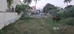 924sqf Approved plot North facing  at Marimalai Nagar