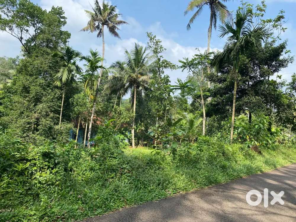 29 cent with small house