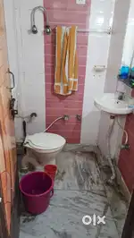 Need roommate(boy or girl)