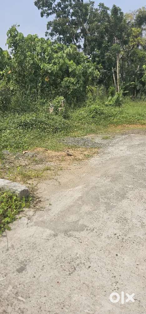 വീട് നിർമിക്കാൻ അനുയോജ്യമായ  5 സെന്റ് സ്ഥലം വിൽപ്പനക്ക്