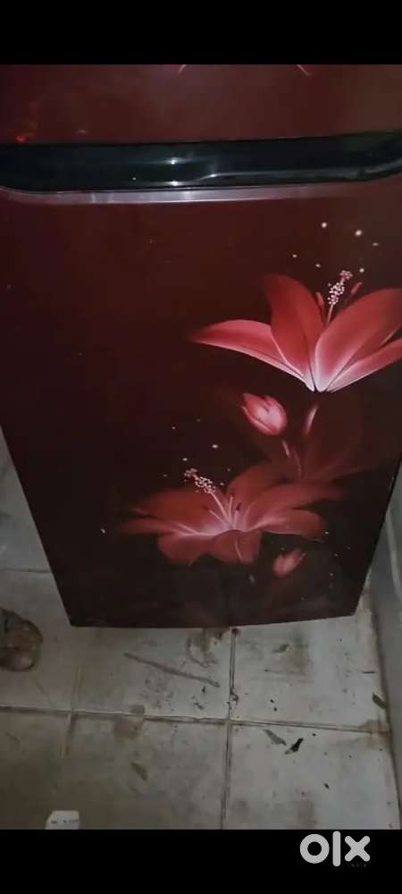 Lg fridge 242 l double door