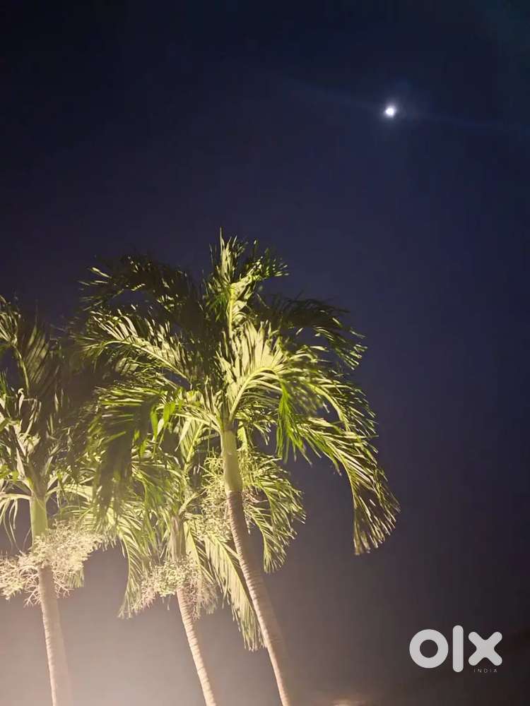 Pharmacy project writting work