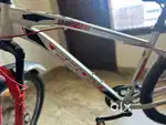 Frog Granite Bicycle in Very Good Condition