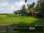 19 cent plot for sale near payyannur town