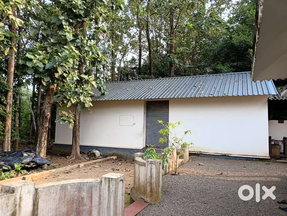 Shop/Office/Godown Space for Rent