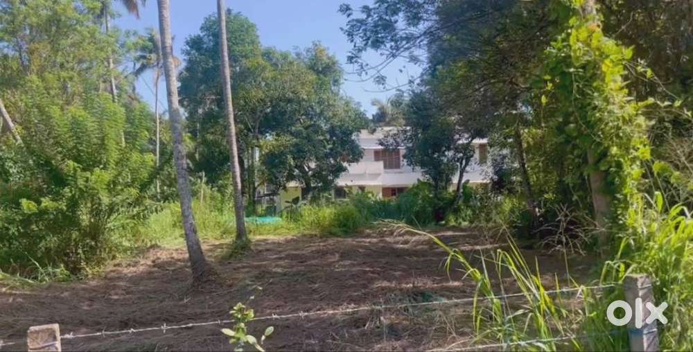 road side plot near Good shepperd Church mullasery