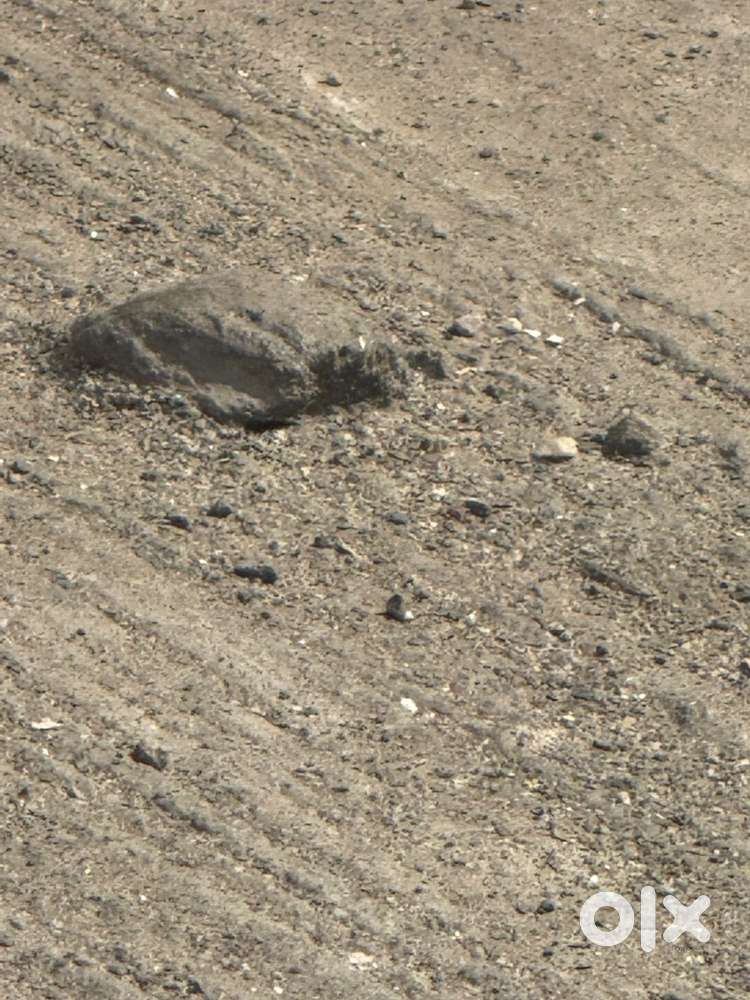 100 Gazz Plot Saddiqnagar khatauli