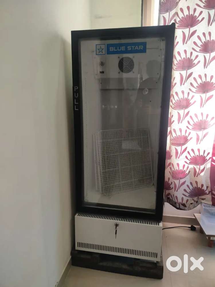 Blue Star SC300F 300 Ltrs Visi Cooler