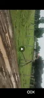 Farmhouse land with good location, main road se 300 meter mhow