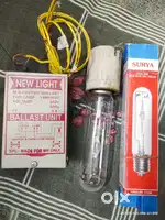 FOCUS LIGHT With chowk