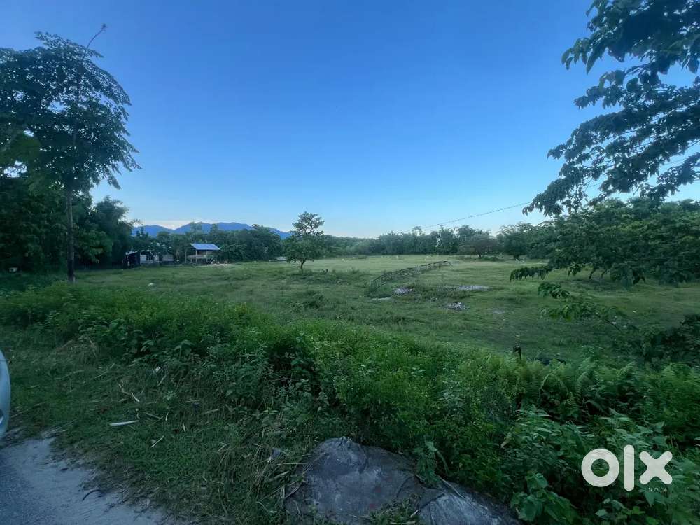 Miyadi Land for sale