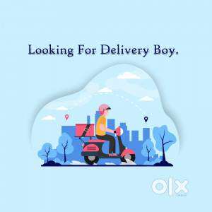 GROCERY DELHIVERY BOYS INDRAPURI BHOPAL