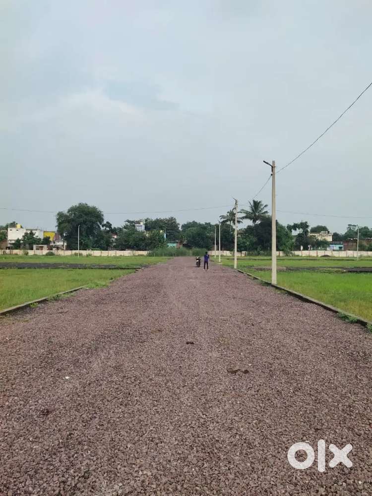 Champa Tehsil road par matra 3 lac rs dismil me diverted plot