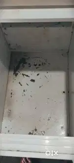 Freezers Blue Star