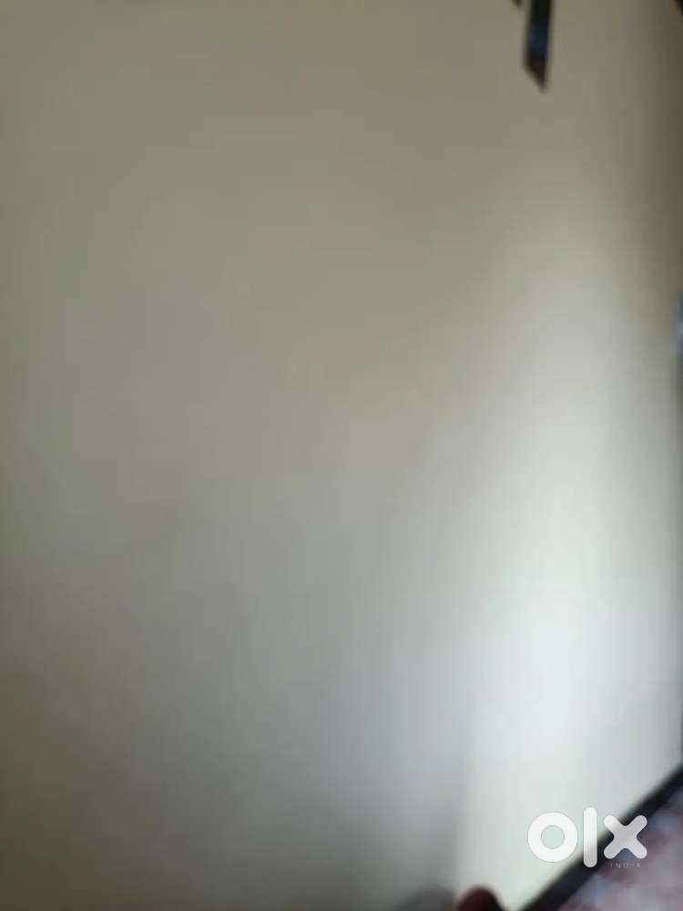 1bhk flat sale sankli