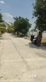 Star Farm Land Peddapur