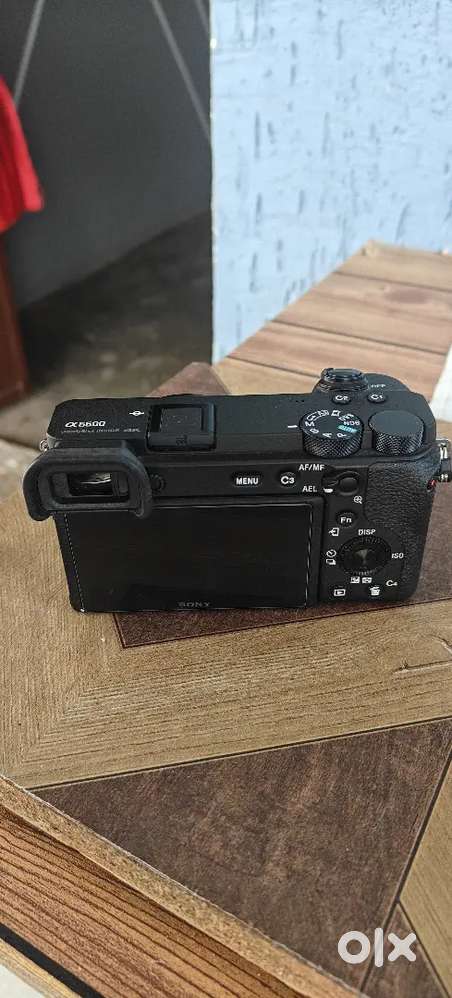 Sony A6600 APS-C