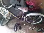 5 year old kids cycle
