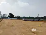 plot for sale at collectoer office beside @23k only per sq yards
