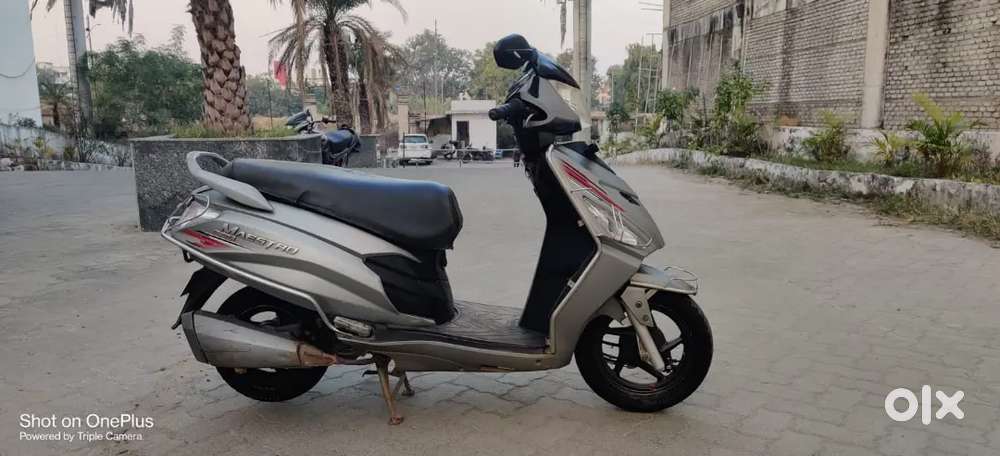 SELL MY HERO MAESTRO EDGE MINT CONDITION